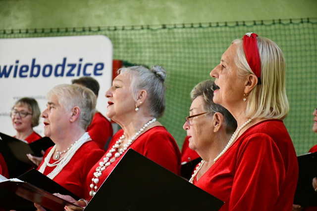 [FOTO] Koncert Operetki Wrocławskiej i Chóru Seniora w Świebodzicach za nami