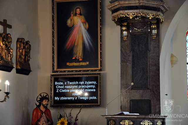 [FOTO] Mieszkańcy Boleścina podziękowali za plony