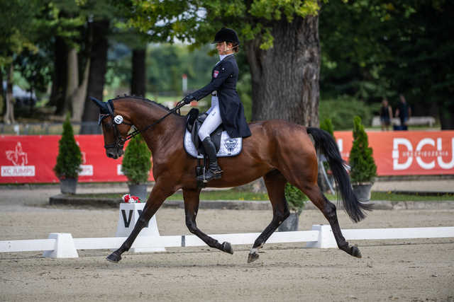 [FOTO] Za nami Strzegom Autumn Show w Morawie. Julia Gillmaier nową mistrzynią Polski w WKKW