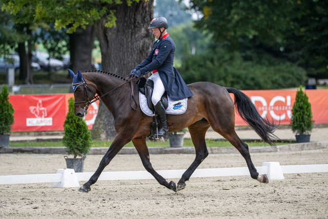 [FOTO] Za nami Strzegom Autumn Show w Morawie. Julia Gillmaier nową mistrzynią Polski w WKKW