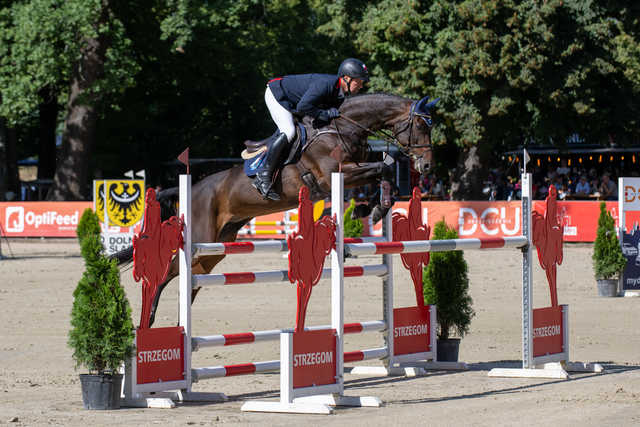 [FOTO] Za nami Strzegom Autumn Show w Morawie. Julia Gillmaier nową mistrzynią Polski w WKKW