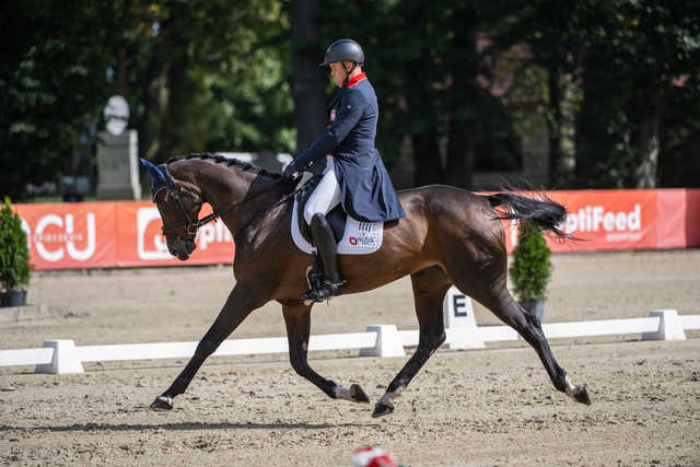 [FOTO] Za nami Strzegom Autumn Show w Morawie. Julia Gillmaier nową mistrzynią Polski w WKKW