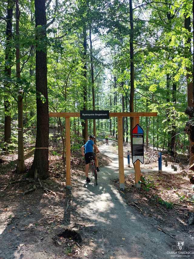 Nowe singletracki w gminie Świdnica są już gotowe. To jednak tylko część większego projektu turystycznego [FOTO]
