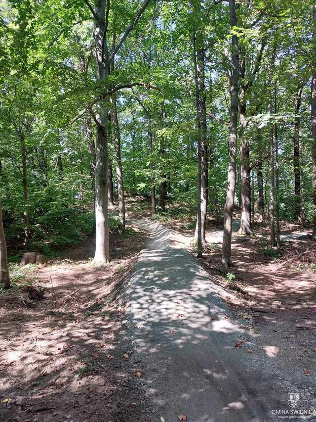 Nowe singletracki w gminie Świdnica są już gotowe. To jednak tylko część większego projektu turystycznego [FOTO]