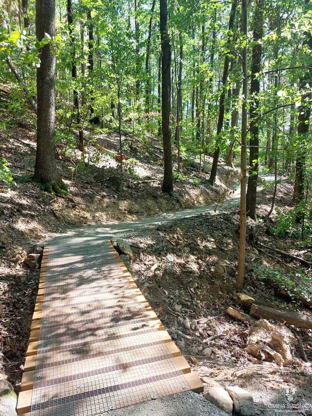 Nowe singletracki w gminie Świdnica są już gotowe. To jednak tylko część większego projektu turystycznego [FOTO]
