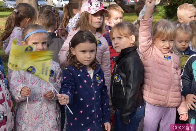 [FOTO] Zasadzili żonkile, które wiosną stworzą żółte Pola Nadziei. Rozpoczęto kolejną edycję akcji świdnickiego hospicjum