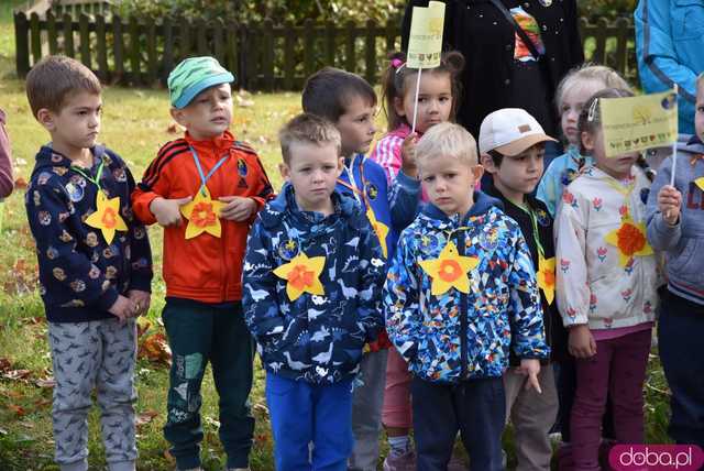 [FOTO] Zasadzili żonkile, które wiosną stworzą żółte Pola Nadziei. Rozpoczęto kolejną edycję akcji świdnickiego hospicjum