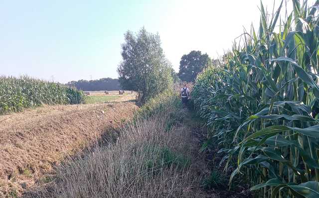 [FOTO] Wyczyszczono rowy w gminie Jaworzyna Śląska