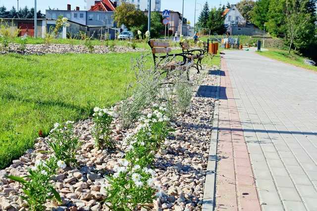 [FOTO] Ostatni etap prac nad stawem miejskim w Żarowie 