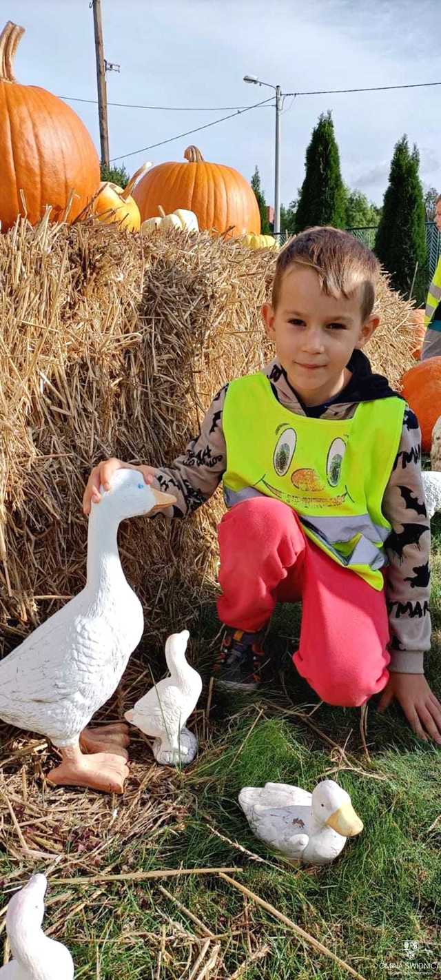 [FOTO] Dyniowy zawrót głowy w Bystrzycy Dolnej