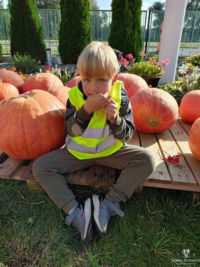 [FOTO] Dyniowy zawrót głowy w Bystrzycy Dolnej