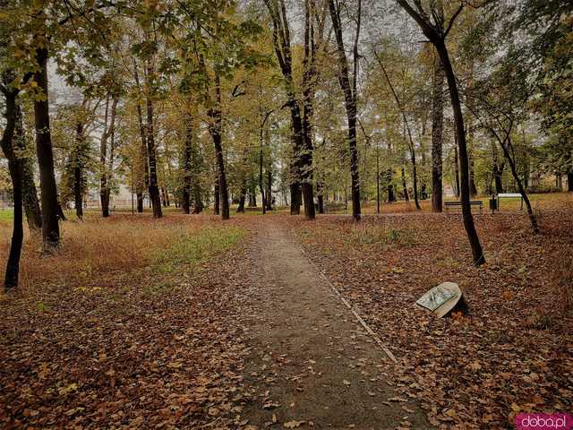 [FOTO] Jesienny klimat w Parku Młodzieżowym