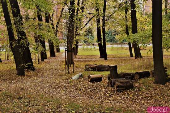 [FOTO] Jesienny klimat w Parku Młodzieżowym