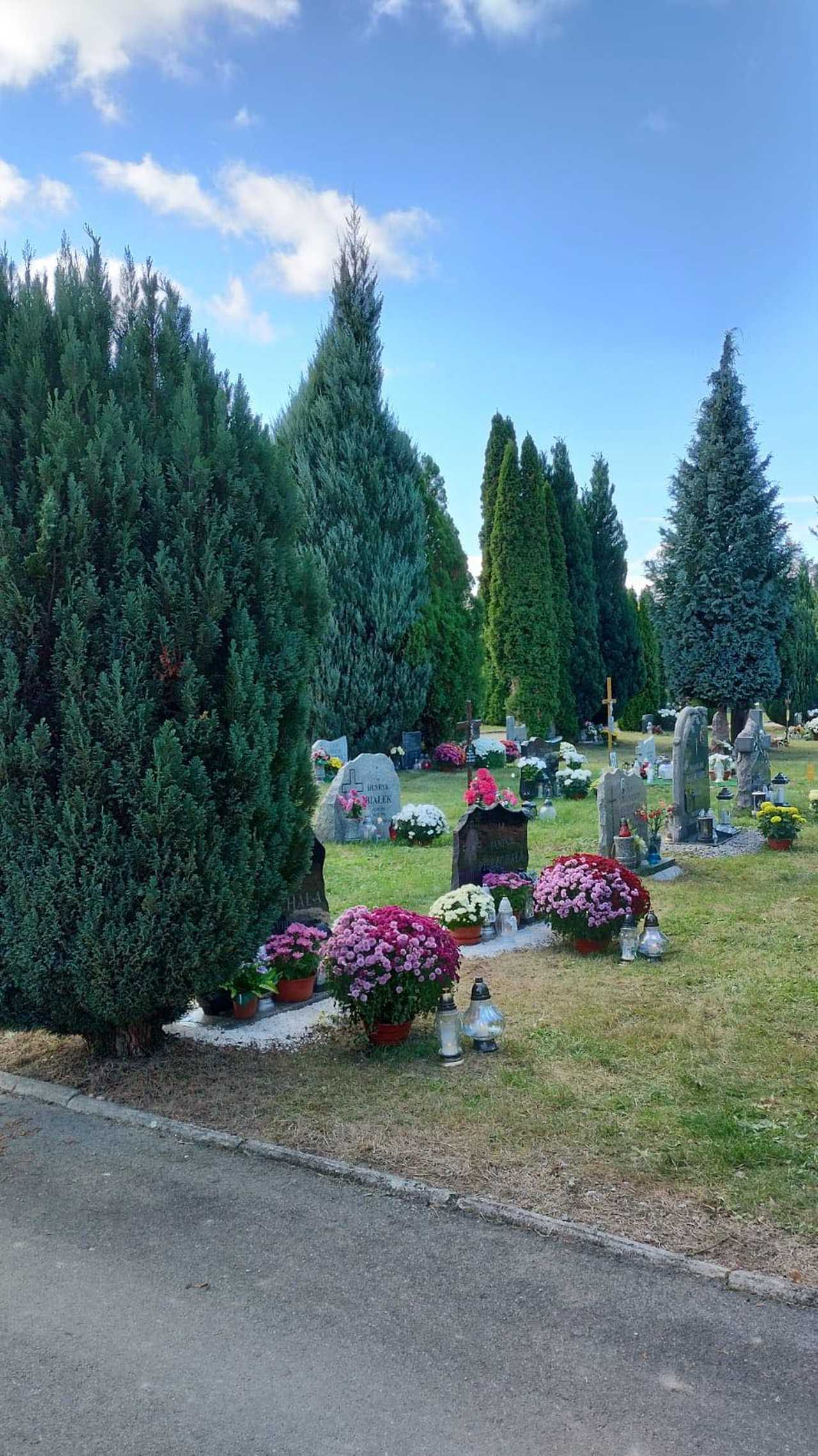 [FOTO] Wszystkich Świętych na świdnickich cmentarzach