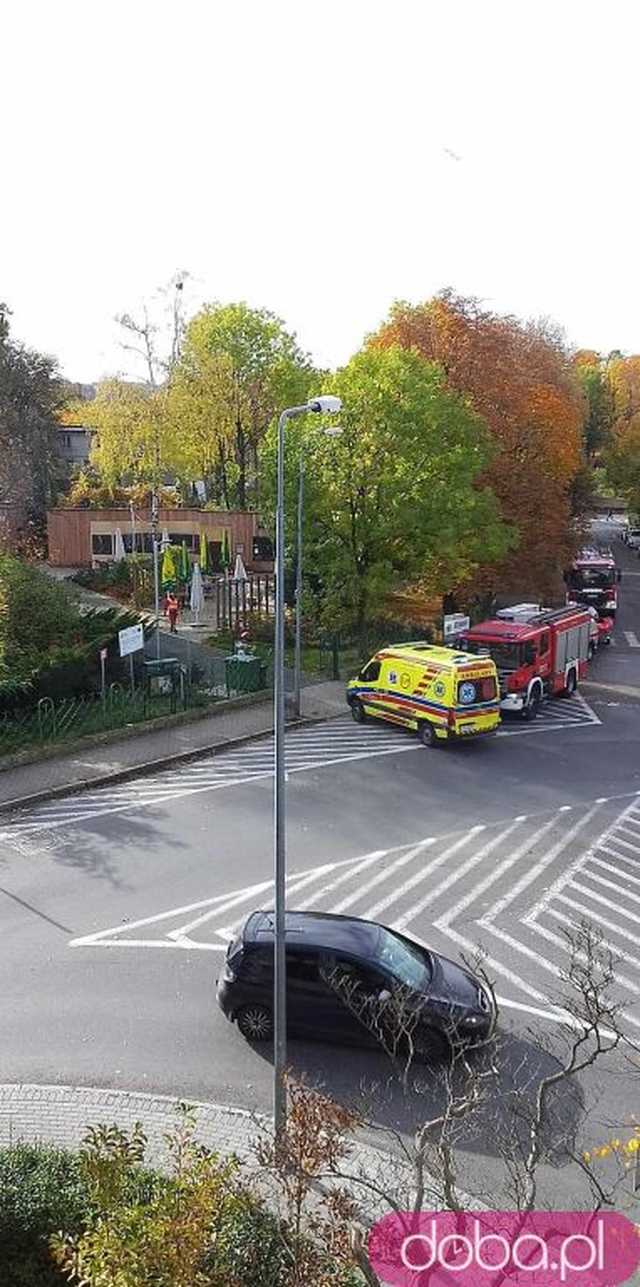 [FOTO] AKTUALIZACJA. Kolejny topielec w Stawie Warszawianka. Trwa akcja służb ratunkowych