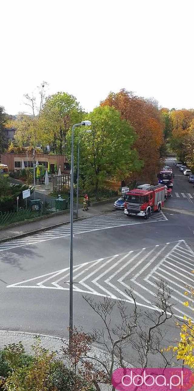 [FOTO] AKTUALIZACJA. Kolejny topielec w Stawie Warszawianka. Trwa akcja służb ratunkowych