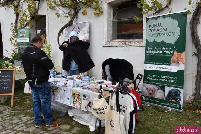 [FOTO] Dziesiątki dostawców, rozmaite produkty i jesienna sceneria. Tłumy na listopadowym Targu Ziemi w Kraskowie