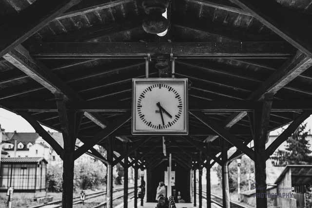 [FOTO] Gmina Żarów w obiektywie. Zobacz ujęcia laureatów konkursu fotograficznego