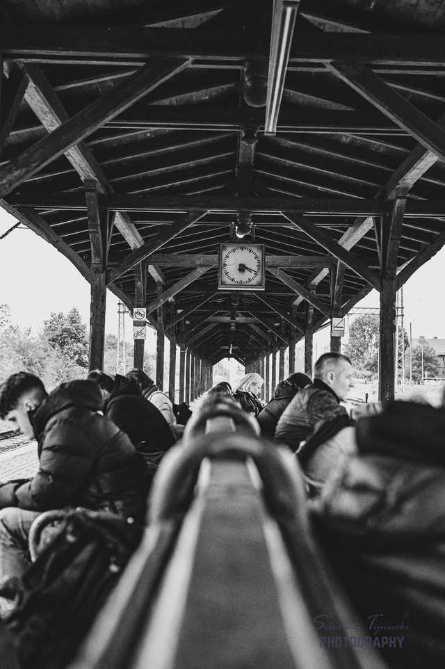 [FOTO] Gmina Żarów w obiektywie. Zobacz ujęcia laureatów konkursu fotograficznego