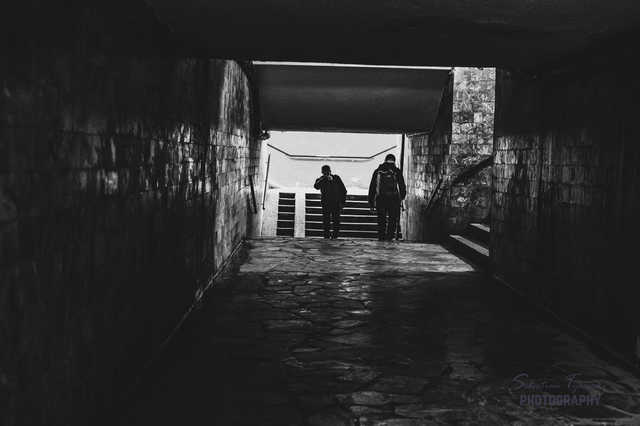 [FOTO] Gmina Żarów w obiektywie. Zobacz ujęcia laureatów konkursu fotograficznego