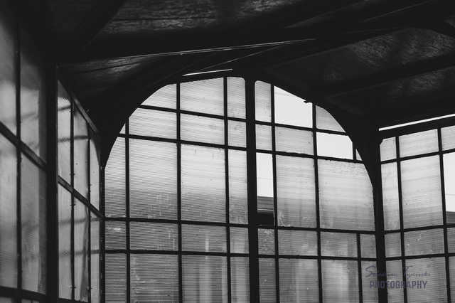 [FOTO] Gmina Żarów w obiektywie. Zobacz ujęcia laureatów konkursu fotograficznego