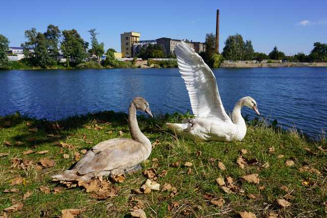 [FOTO] Gmina Żarów w obiektywie. Zobacz ujęcia laureatów konkursu fotograficznego