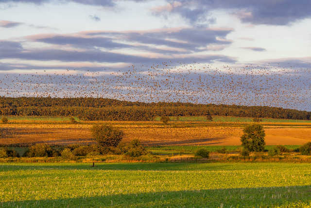 [FOTO] Gmina Żarów w obiektywie. Zobacz ujęcia laureatów konkursu fotograficznego