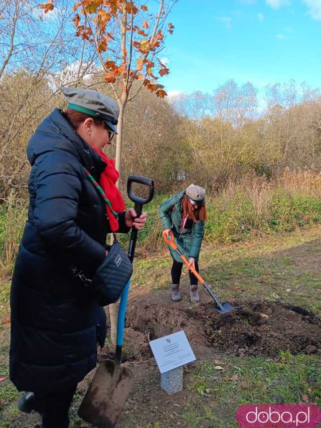 [FOTO] Posadzono kolejne drzewka na Alei Goplany. To żywe pomniki osób, które poświęciły się dla miasta