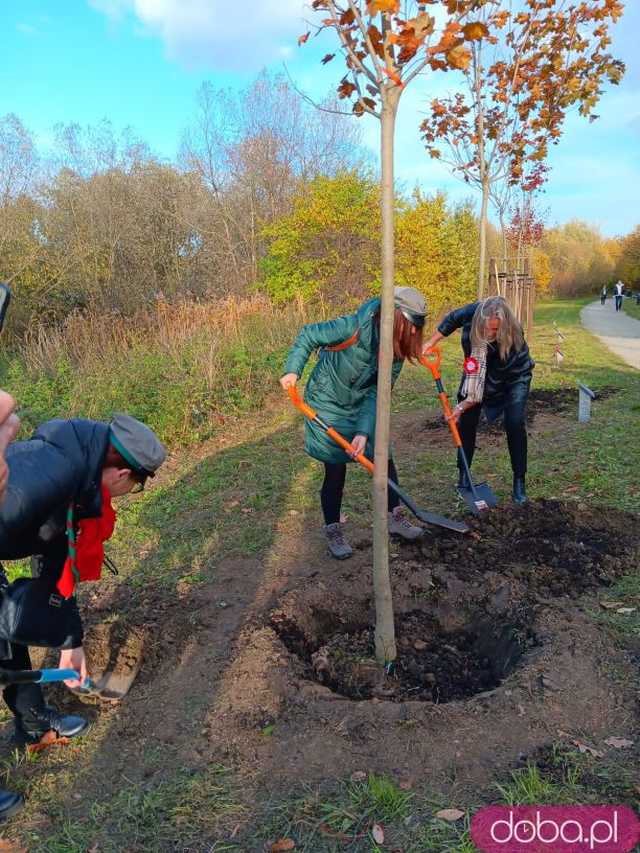 [FOTO] Posadzono kolejne drzewka na Alei Goplany. To żywe pomniki osób, które poświęciły się dla miasta