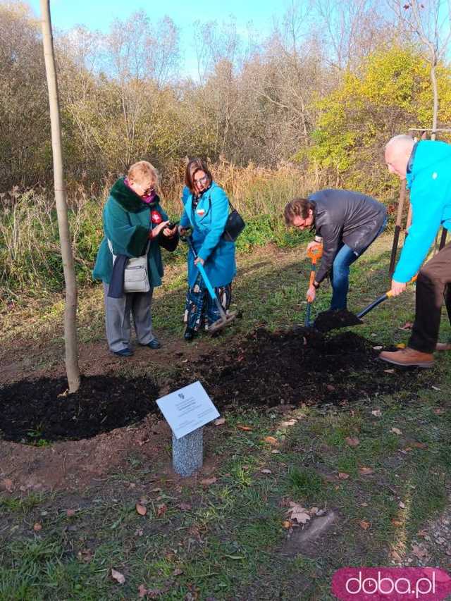 [FOTO] Posadzono kolejne drzewka na Alei Goplany. To żywe pomniki osób, które poświęciły się dla miasta