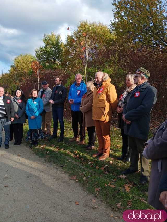[FOTO] Posadzono kolejne drzewka na Alei Goplany. To żywe pomniki osób, które poświęciły się dla miasta