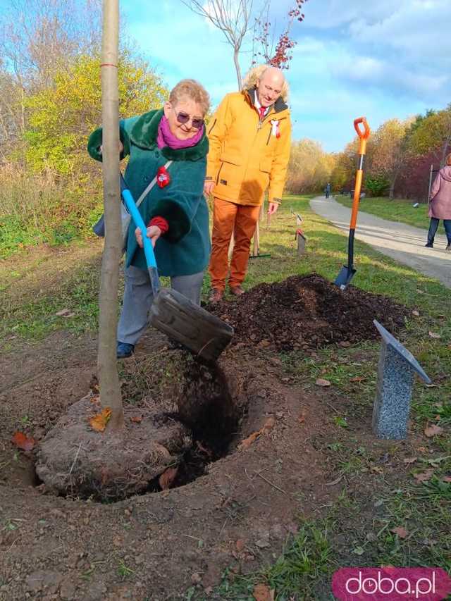 [FOTO] Posadzono kolejne drzewka na Alei Goplany. To żywe pomniki osób, które poświęciły się dla miasta