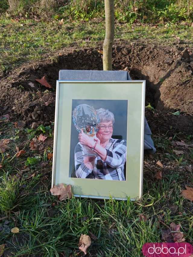 [FOTO] Posadzono kolejne drzewka na Alei Goplany. To żywe pomniki osób, które poświęciły się dla miasta