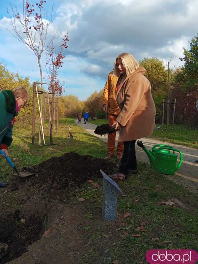 [FOTO] Posadzono kolejne drzewka na Alei Goplany. To żywe pomniki osób, które poświęciły się dla miasta