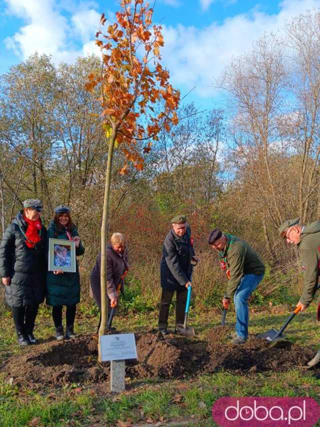 [FOTO] Posadzono kolejne drzewka na Alei Goplany. To żywe pomniki osób, które poświęciły się dla miasta