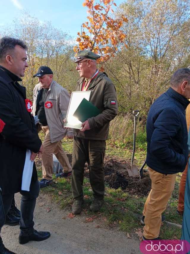 [FOTO] Posadzono kolejne drzewka na Alei Goplany. To żywe pomniki osób, które poświęciły się dla miasta