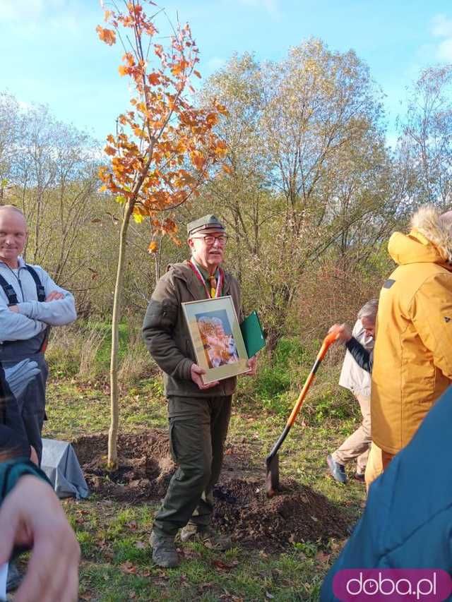 [FOTO] Posadzono kolejne drzewka na Alei Goplany. To żywe pomniki osób, które poświęciły się dla miasta