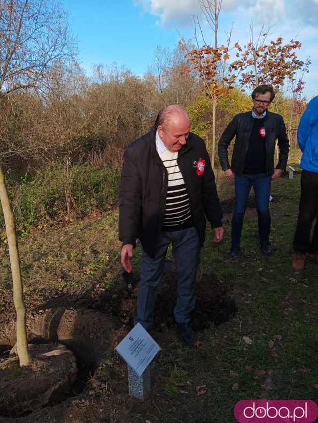 [FOTO] Posadzono kolejne drzewka na Alei Goplany. To żywe pomniki osób, które poświęciły się dla miasta