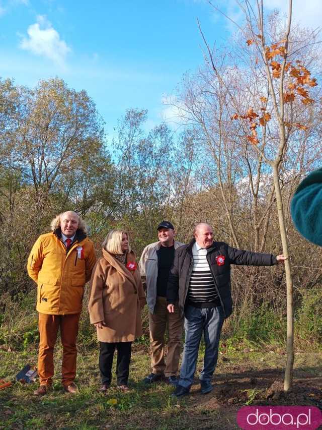 [FOTO] Posadzono kolejne drzewka na Alei Goplany. To żywe pomniki osób, które poświęciły się dla miasta