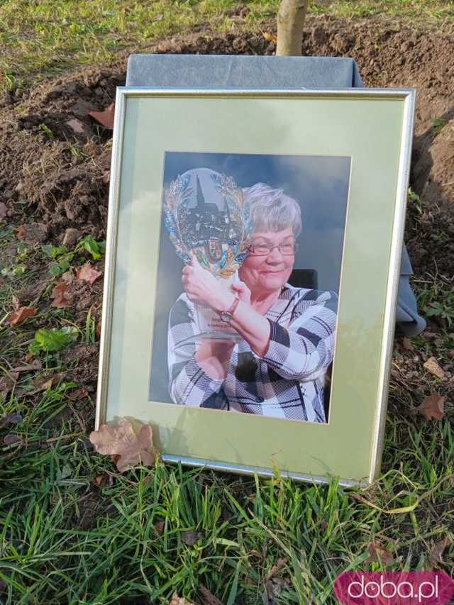 [FOTO] Posadzono kolejne drzewka na Alei Goplany. To żywe pomniki osób, które poświęciły się dla miasta