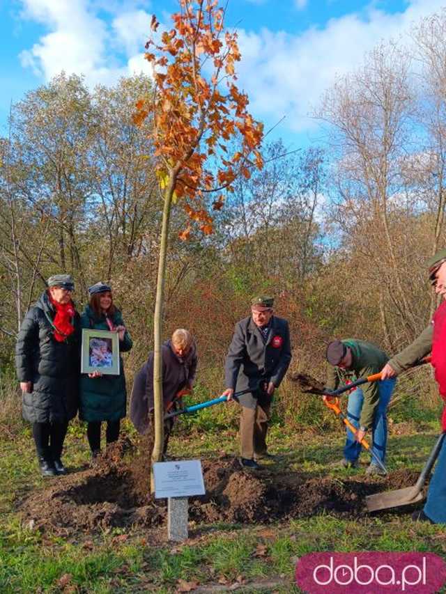 [FOTO] Posadzono kolejne drzewka na Alei Goplany. To żywe pomniki osób, które poświęciły się dla miasta