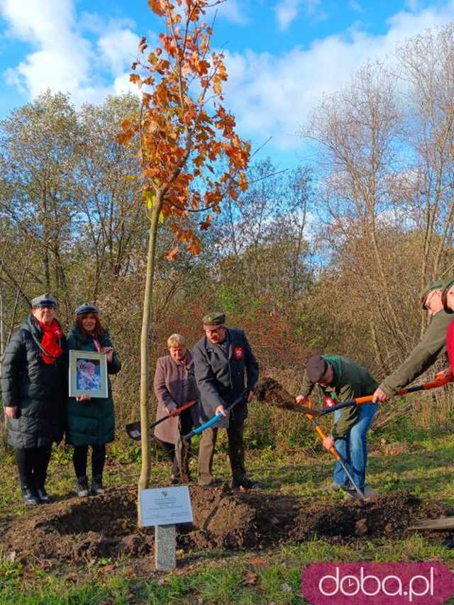 [FOTO] Posadzono kolejne drzewka na Alei Goplany. To żywe pomniki osób, które poświęciły się dla miasta