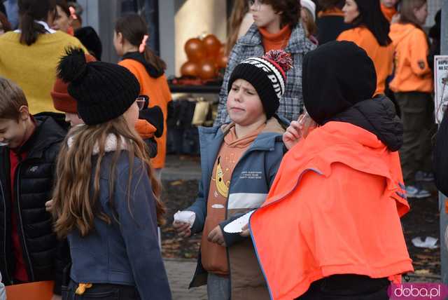 [WIDEO, FOTO] Udowodnili, że przemoc nie jest im obojętna. Marsz i piknik z okazji 19 dni przeciw przemocy w Żarowie