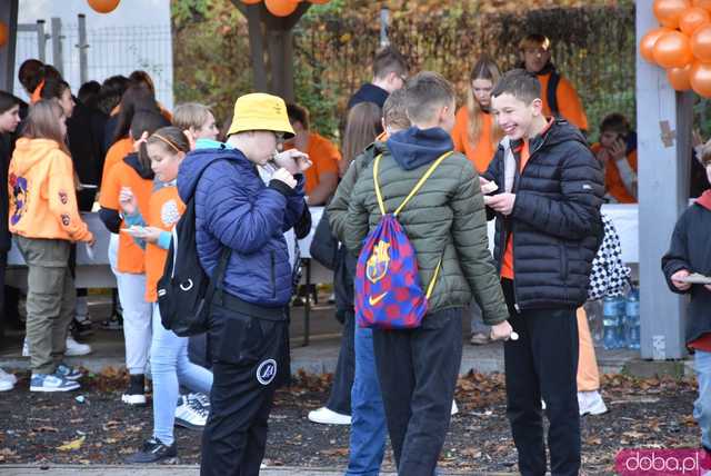 [WIDEO, FOTO] Udowodnili, że przemoc nie jest im obojętna. Marsz i piknik z okazji 19 dni przeciw przemocy w Żarowie