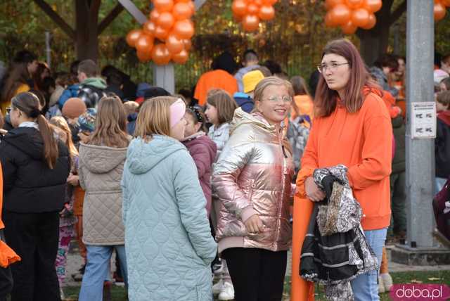 [WIDEO, FOTO] Udowodnili, że przemoc nie jest im obojętna. Marsz i piknik z okazji 19 dni przeciw przemocy w Żarowie