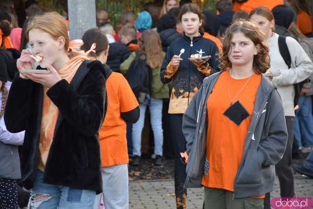 [WIDEO, FOTO] Udowodnili, że przemoc nie jest im obojętna. Marsz i piknik z okazji 19 dni przeciw przemocy w Żarowie