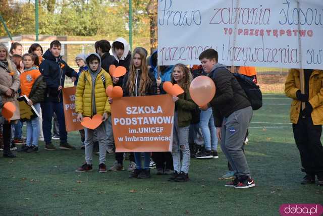 [WIDEO, FOTO] Udowodnili, że przemoc nie jest im obojętna. Marsz i piknik z okazji 19 dni przeciw przemocy w Żarowie