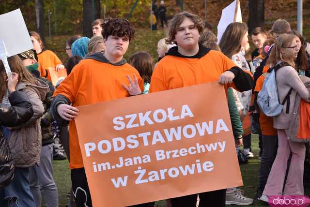 [WIDEO, FOTO] Udowodnili, że przemoc nie jest im obojętna. Marsz i piknik z okazji 19 dni przeciw przemocy w Żarowie