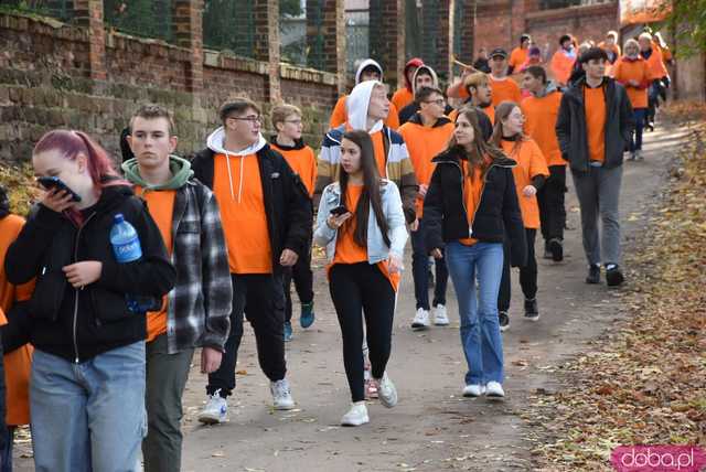 [WIDEO, FOTO] Udowodnili, że przemoc nie jest im obojętna. Marsz i piknik z okazji 19 dni przeciw przemocy w Żarowie