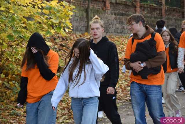 [WIDEO, FOTO] Udowodnili, że przemoc nie jest im obojętna. Marsz i piknik z okazji 19 dni przeciw przemocy w Żarowie